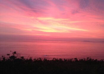 Solsticio de Verano: Puesta a punto del Corazón